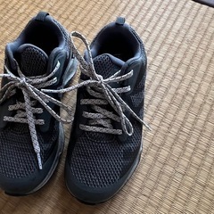 コロンビア　シューズ　22.5cm②の画像