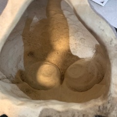 信楽焼 フクロウ　陶器　置物　（ID1530）の画像