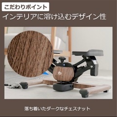 ツイストステッパー正規品】ツイストエアロステッパーPremium 木目調ステッパー SP-600の画像