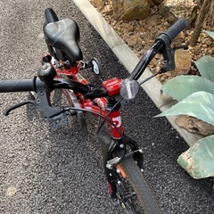 アイデス d-bike MASTER　Plus 18インチの画像