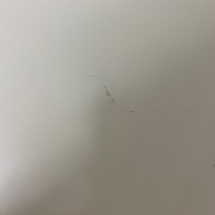 まとめ可！サイドチェストの画像