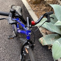 アイデス d-bike MASTER Plus 18インチの画像