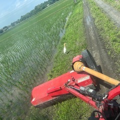 つぶすけ　新米　生活応援価格　玄米30キロ　精米可能の画像