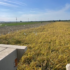 つぶすけ　新米　生活応援価格　玄米30キロ　精米可能の画像