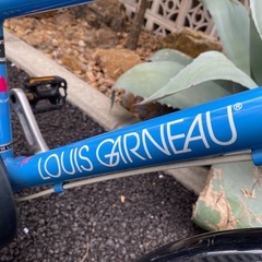 ルイガノ K18lite 18インチの画像