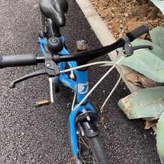 ルイガノ K18lite 18インチの画像