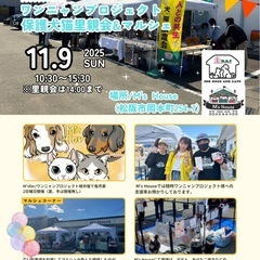 11/9日曜日保護犬猫里親会開催in「M's House」