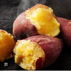 さつまいも（紅はるか）収穫お手伝い