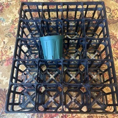 植物用トレーの画像