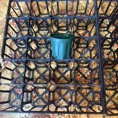 植物用トレーの画像