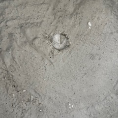 未使用新品グレー鉢植えの画像