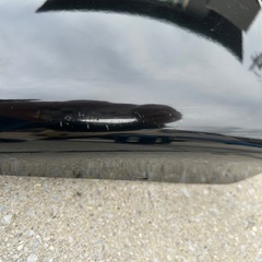 ハーレー　スポーツスター用サイドカバー
の画像