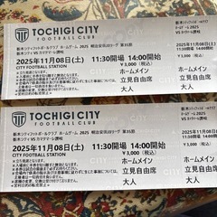 栃木シティＶＳカマタマーレ讃岐　観戦チケット　二枚売りの画像