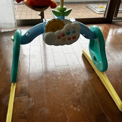 【お渡し先確定済】プーメリーの画像