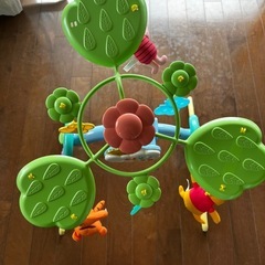 【お渡し先確定済】プーメリーの画像