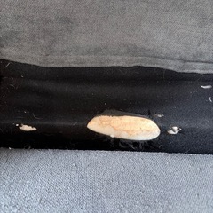 【11/16まで】カウチソファー　定価14万　の画像