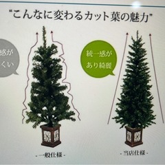 クリスマスツリー　ウッドベースツリー　240㎝ポット の画像