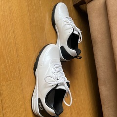 ゴルフシューズなどにの画像