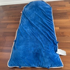 コストコ 恐竜 寝袋 子供用の画像