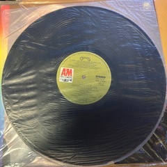 カーペンターズ　レコード　青春のハーモニーの画像