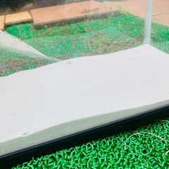 水槽 砂付 メダカ 金魚 の画像