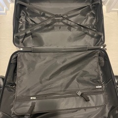キャリーバッグの画像