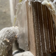 柄入り　ベニア　10枚の画像