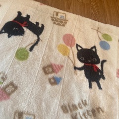 しまむら / 冬用温かい敷きパッド(シングル)の画像