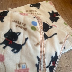 しまむら / 冬用温かい敷きパッド(シングル)の画像