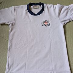栄小学校体操服150の画像