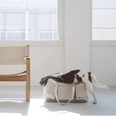 犬猫 キャリーバッグ LLサイズの画像