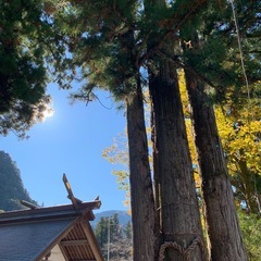 心とからだはつながってる〜自分の心に耳を傾けてみませんか？〜