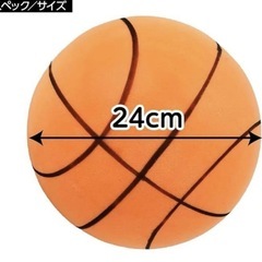 サイレントボール&室内用バスケットゴールの画像