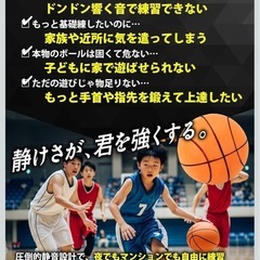 サイレントボール&室内用バスケットゴールの画像