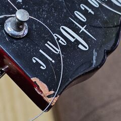 ◆フォト ジェニック レスポールの画像