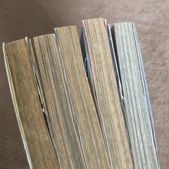 パスカル先生の画像