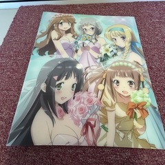 年末セール　中販紅　【Week】未使用品　事務用　ファイルブック、クリアシート　現状渡し　の画像