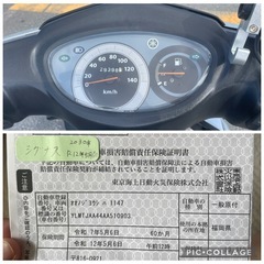 シグナスZ(中国)の画像