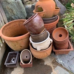 大サイズ植木鉢  いろんな鉢まとめて引き取って下さい の画像