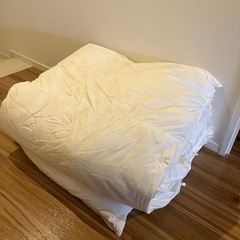 羽毛布団白の画像