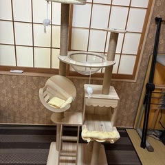 ほぼ新品
キャットタワーの画像