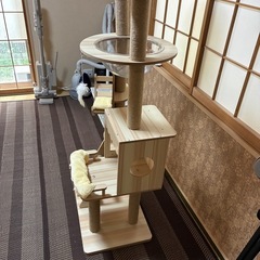 ほぼ新品
キャットタワーの画像