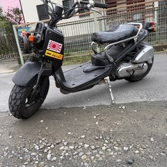 ズーマー　実働　50の画像