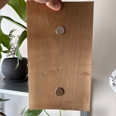  ビカクシダ 松山市内であればお届け可能です。の画像