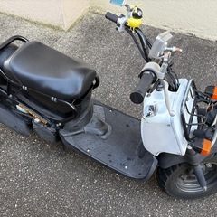 ズーマーの画像