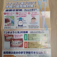 ブイセブン　歯ブラシ　12本の画像