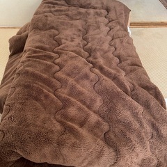 リビングこたこたつの画像