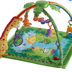 レインフォレスト デラックスジム　フィッシャープライス　　　の画像