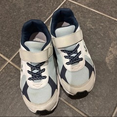 ジュニア スニーカー 瞬足 21cmの画像