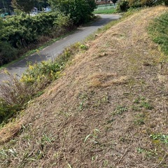 庭の手入れの画像